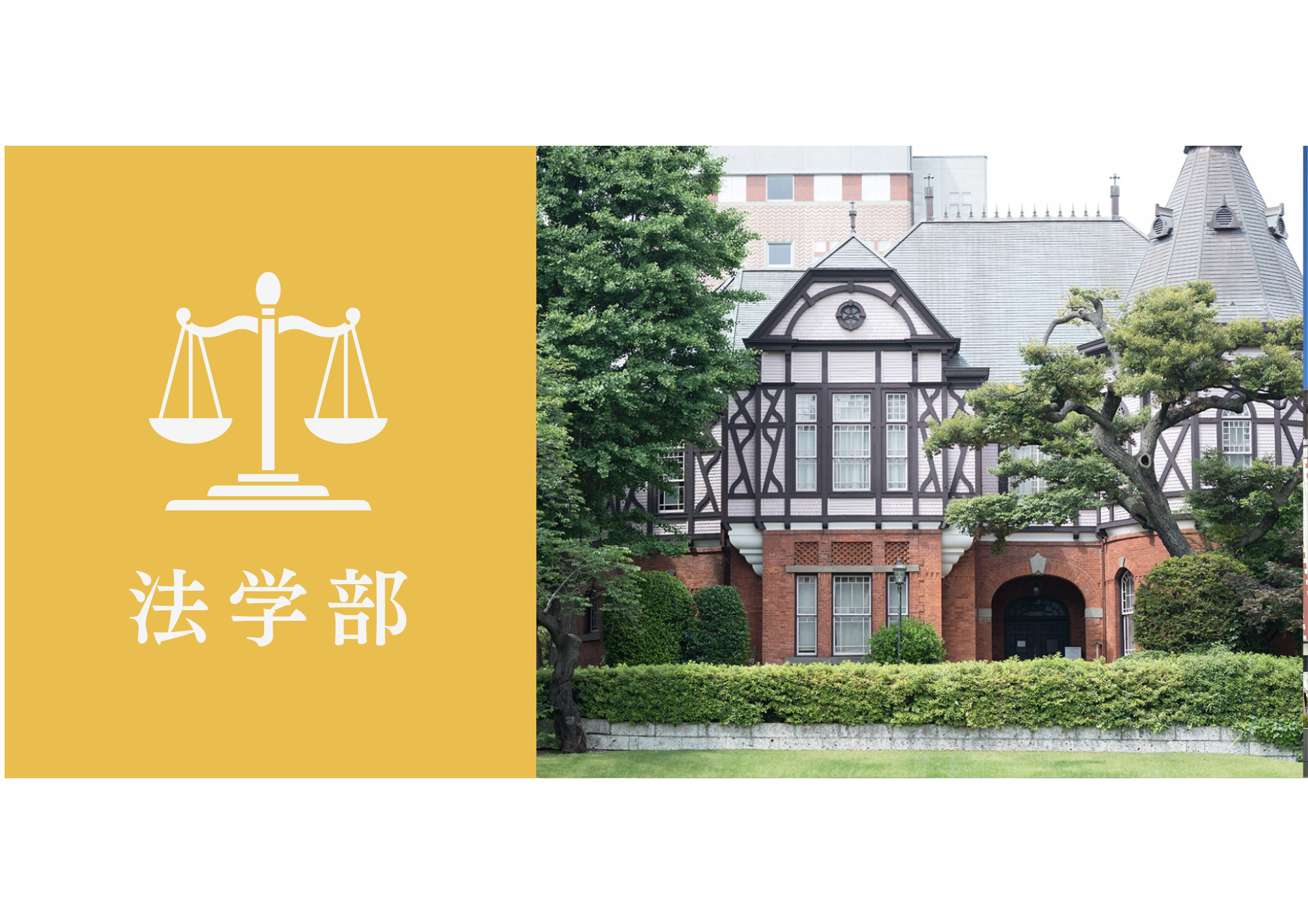 明治学院大学法学部グローバル法学科に自己推薦AO入試で合格するための最短ルートを大公開！